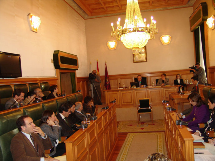 Pleno Ayuntamiento de Santiago