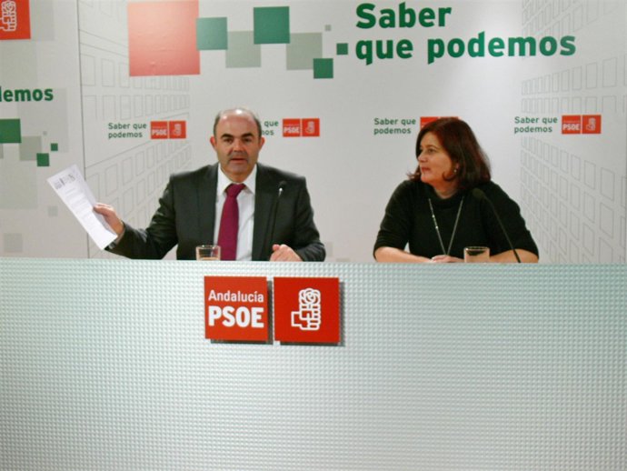 Rueda de prensa del PSOE sobre la sentencia de Del Ojo