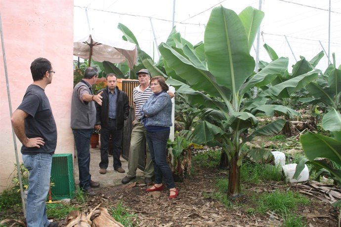 González Taño en una de las fincas