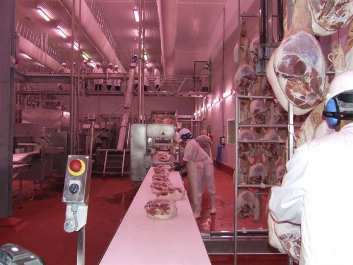 Industria cárnica-carnes