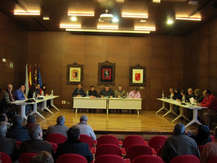 Pleno Extraordinario del Ayuntamiento de La Unión