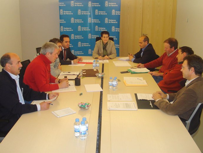 Momento de la reunión de la consejera Sanzberro con los representantes de las or