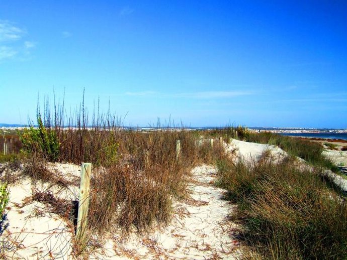 Imagen de una zona con biodiversidad en Murcia