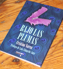 Cristina Narea Presenta Su Libro De Poemas En Gijón