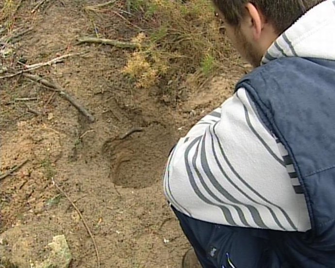 Hoyo donde estaba la bolsa en Viver