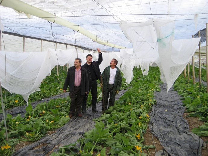 Destrozos causados por dos tornados en El Ejido (Almería)