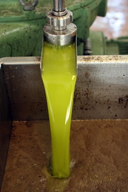 Aceite de Andalucía