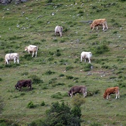 Agricultura Y Desarrollo Rural