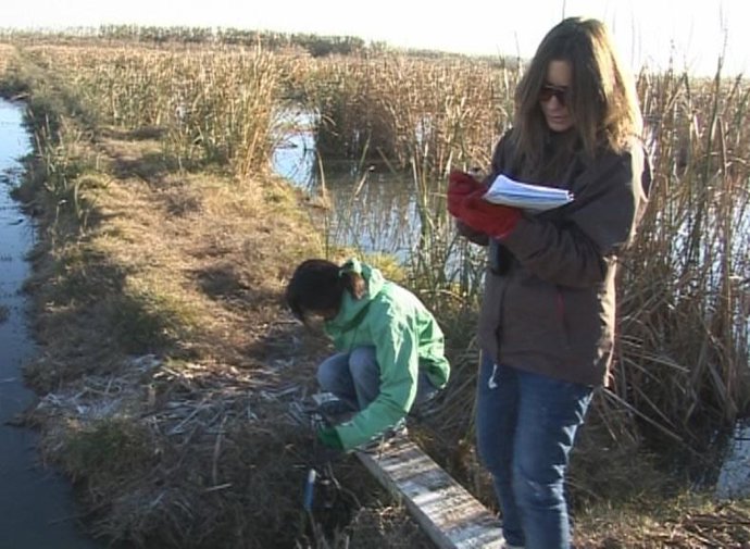 Investigadores en L'Albufera
