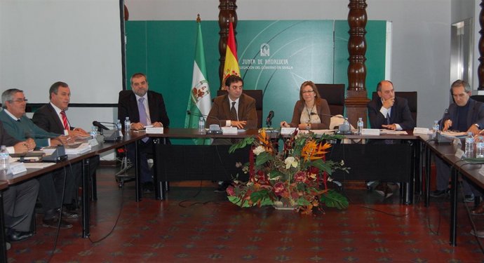 La delegada del Gobierno de la Junta en Sevilla, Carmen Tovar, preside la reunió