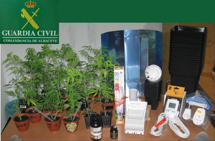 operación marihuana