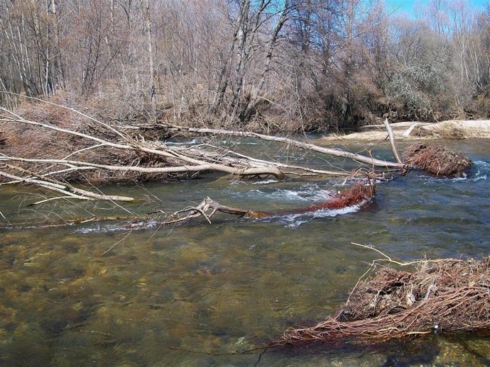 El río Omaña antes de la actuación