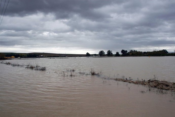 Imagen de los efectos del temporal en Écija (Sevilla)