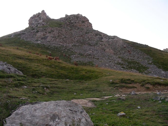  Picos de Europa en León