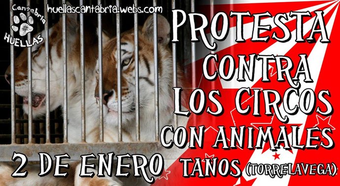 Domingo 2 De Enero. Protesta Contra Los Circos Con Animales En Torrelavega.