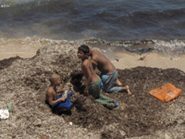 El IH desarrolla proyectos de cooperación