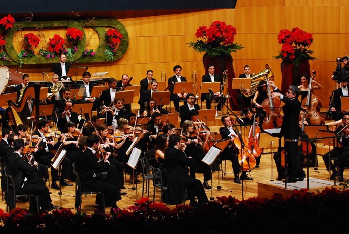 Concierto de año nuevo