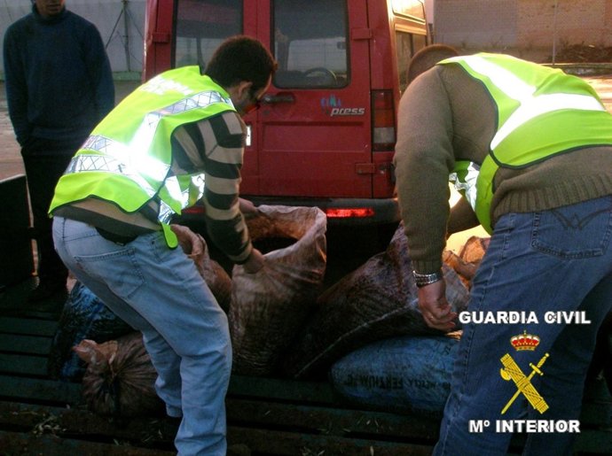 Aceitunas recuperadas