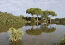 Imagen del Parque de los Toruños, en El Puerto de Santa María (Cádiz)