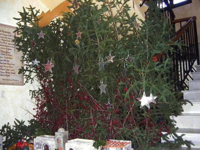 Nota De Prensa: Grazalema, Belén Con Pinsapos