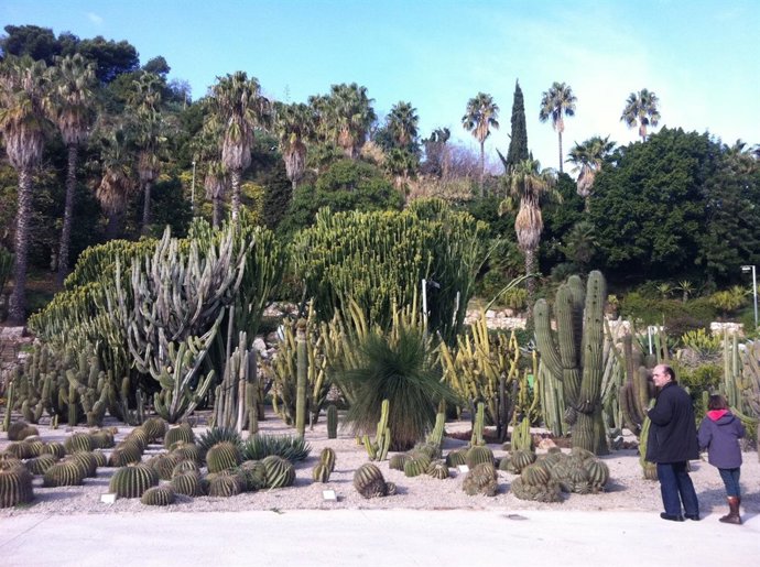 Jardins de Mossèn Costa i Llobera, Montjuïc (Barcelona)