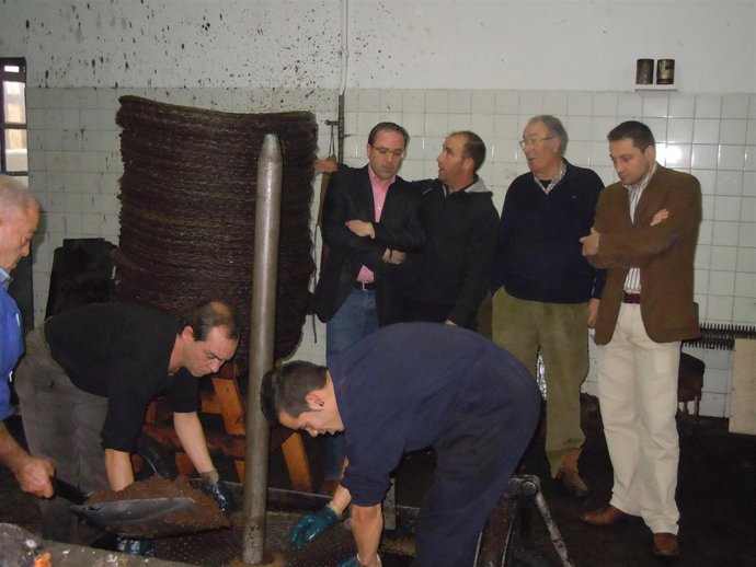 Momento de la visita al trujal