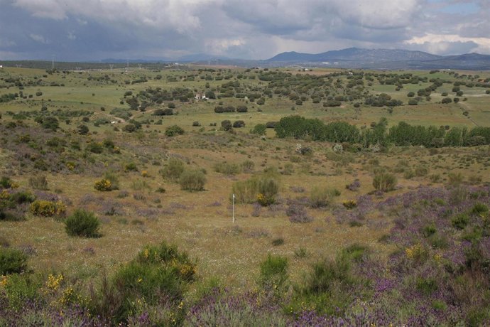 La Finca de Valdeloshielos acogería la Ryder en España