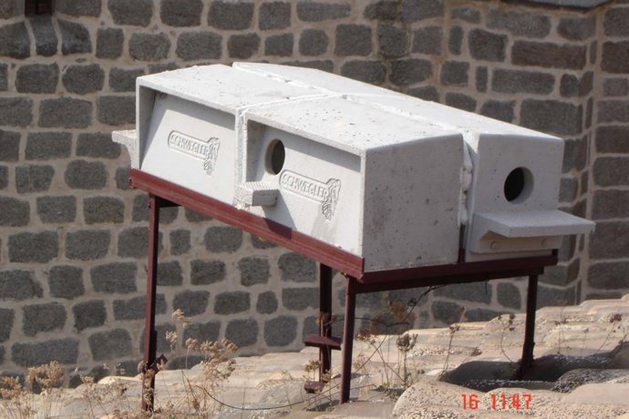 Colmenar Viejo: La Concejalía De Medio Ambiente Tiene Censados Actualmente 100 N