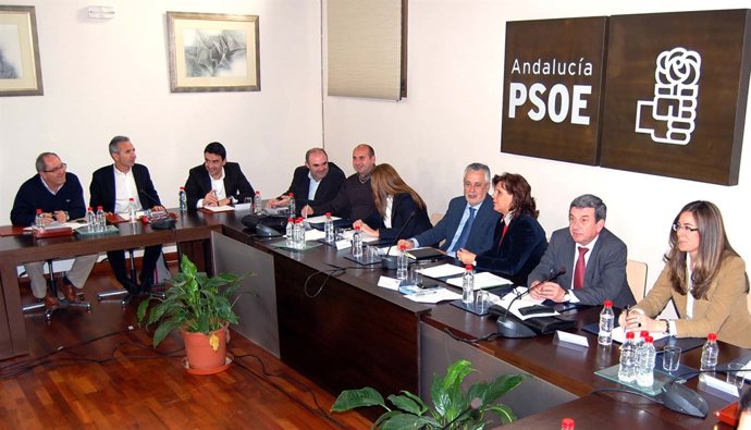 PSOE De Andalucía: Fotos Rosa Torres CER 10 1 11