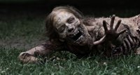 'The Walking Dead' o cómo dignificar el género zombie