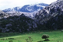 Las ayudas se dirigen al área de influencia socioeconómica de Sierra Nevada