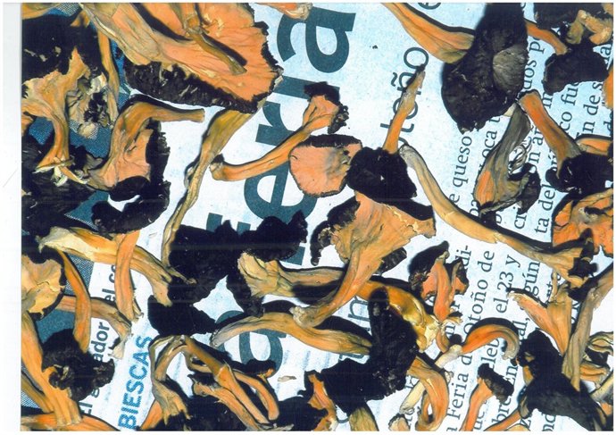 Foto ganadora del III Concurso Fotográfico Feria de Otoño de Biescas (Huesca)