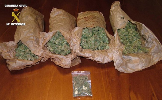 Marihuana intervenida