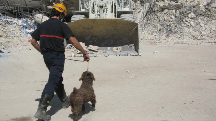 Bomberos andaluces realizando operaciones de rescate de supervivientes en los dí