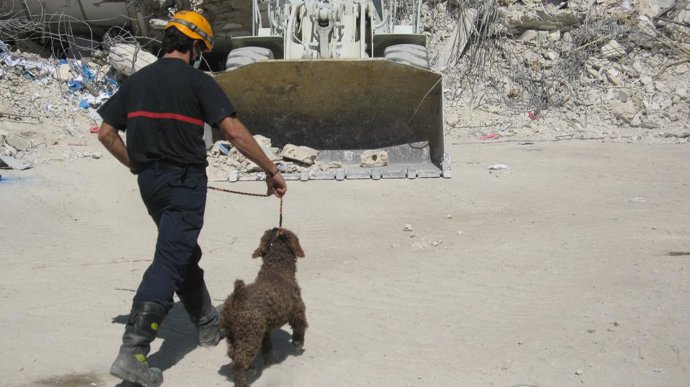 Bomberos andaluces realizando operaciones de rescate de supervivientes en los dí
