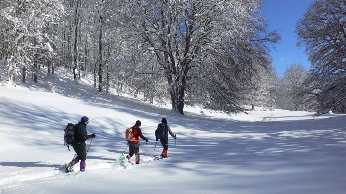 El Ayuntamiento de Pamplona organiza 23 salidas con raquetas de nieve para jóven