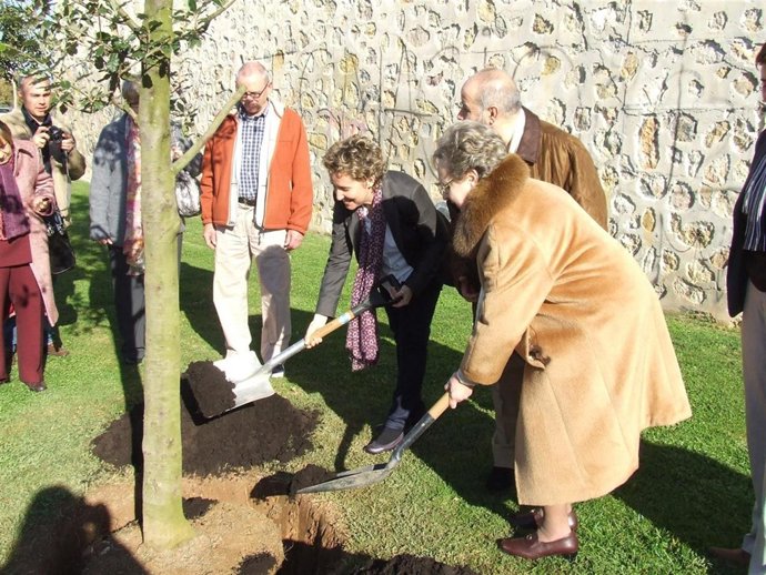 Aina Calvo plantando un árbol