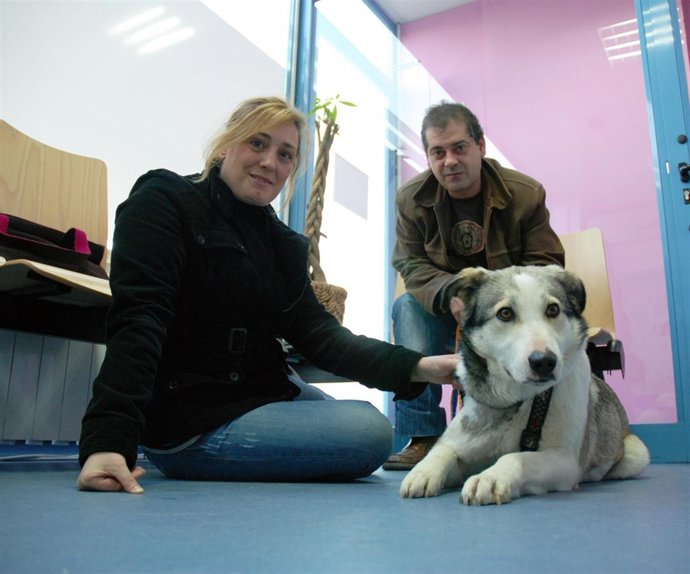 Adopción de la perra Dulcinea