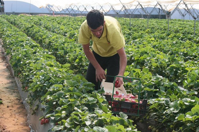 NOTA Y FOTOS FORMACIÓN AGRARIA