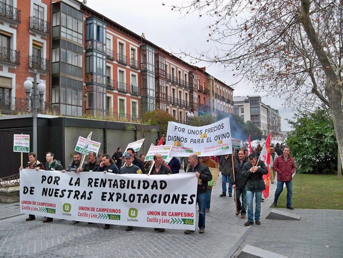 Manifestación de ganaderos de ovino por las calles de Valladolid