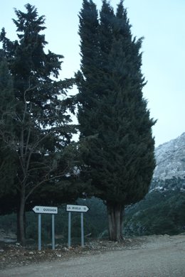 Imagen del término municipal de Quesada