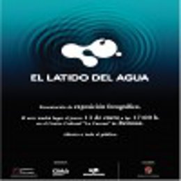 Cartel de la muestra. 