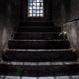 Finaliza La Serie MIEDO ESCENICO, (Diez Periodistas Extremeños Y Un Intruso Escr