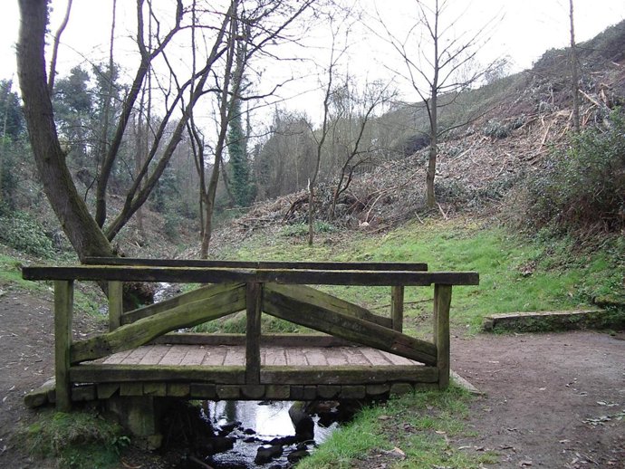 Vertido De Aguas Residuales En Gijón