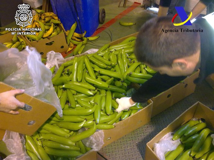 Droga incautada oculta en plátanos