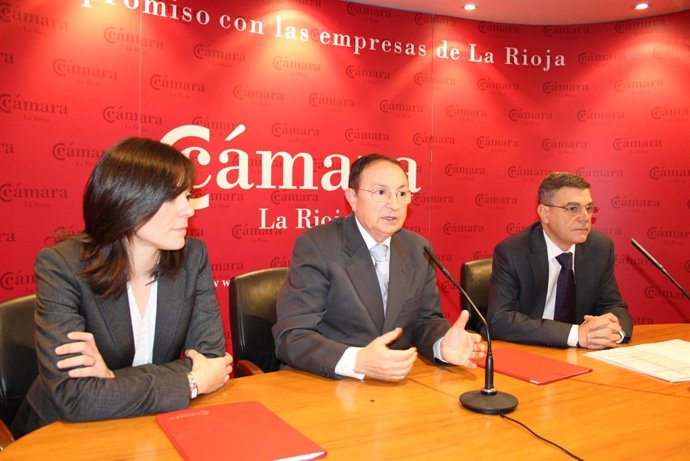 BALANCE 2010 CÁMARA DE COMERCIO Y NUEVA SITUACIÓN TRAS LA ELIMINACIÓN DE LAS CUO