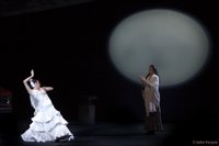 Plata busca un modelo "alternativo y sostenible" para el Ballet Flamenco de Andalucía y asegura su continuidad