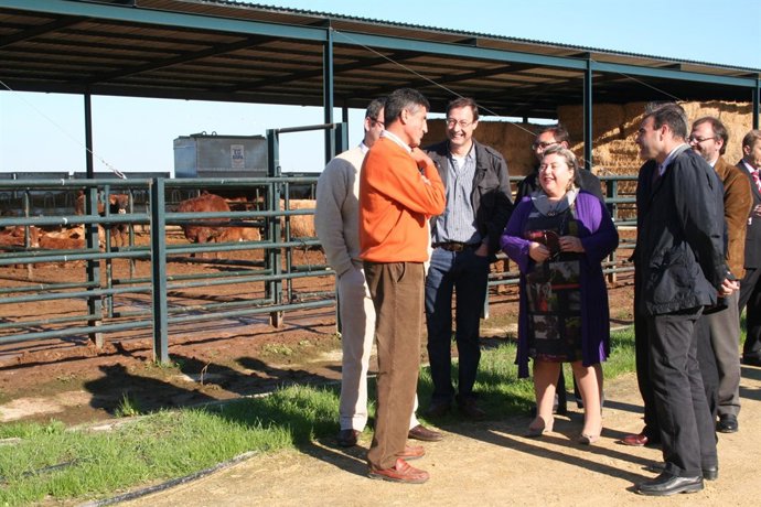 Envío Nota De Prensa, Con Foto