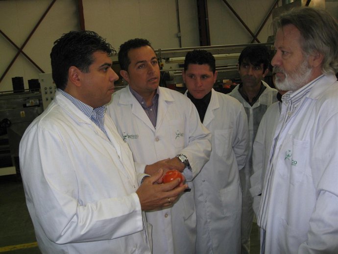 Visita a las instalaciones de Agrieco, esta mañana en Pechina.