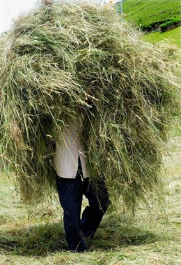 Inauguración Expo "PAIS PASIEGO"